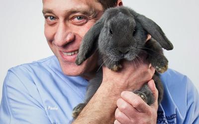 Paolo Zucchi - Ambulatorio veterinario