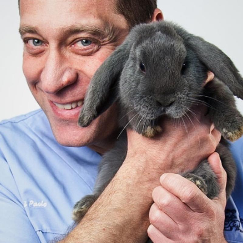 Paolo Zucchi - Ambulatorio veterinario