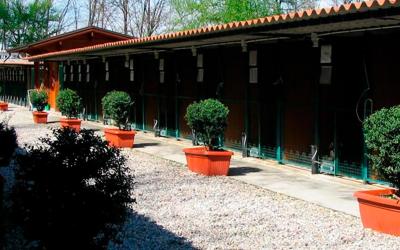 La Contea del Vignolo Fiorito