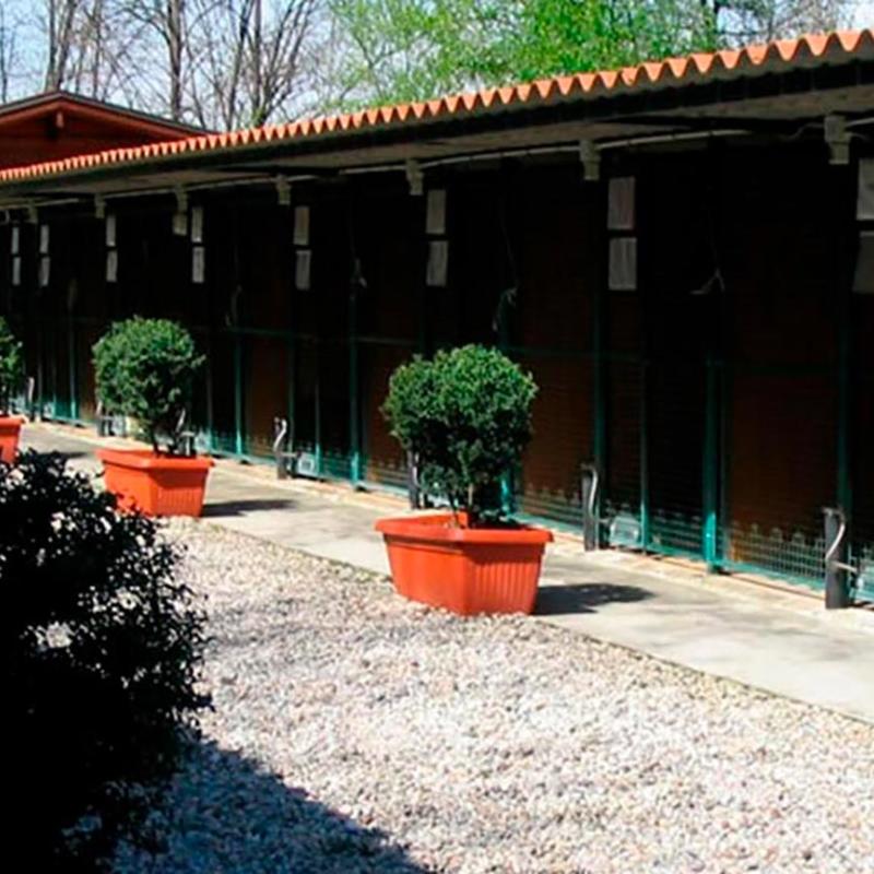 La Contea del Vignolo Fiorito