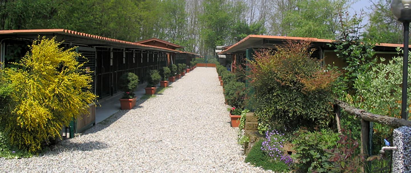 La Contea del Vignolo Fiorito - 1