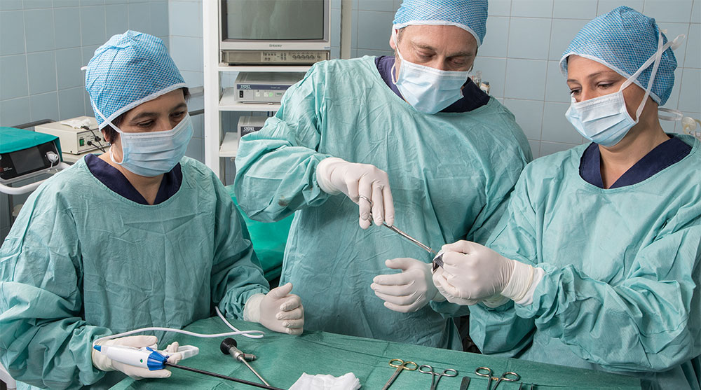 Paolo Zucchi - Ambulatorio veterinario - 2