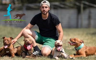 Dog Camp