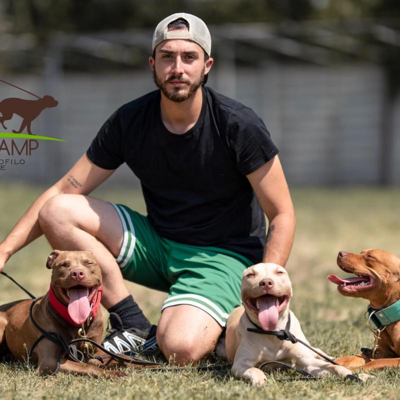 Dog Camp