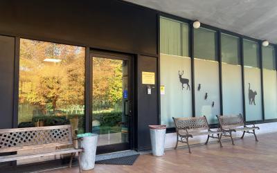 San Michele - BluVet Gruppo Ca' Zampa - Ospedale Veterinario