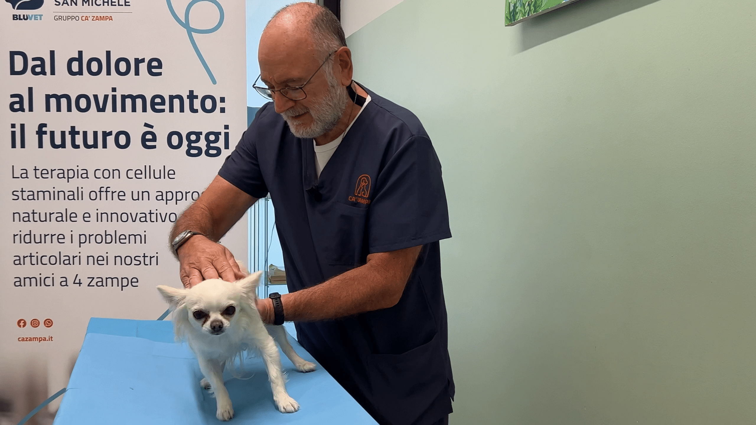 San Michele - BluVet Gruppo Ca' Zampa - Ospedale Veterinario - 3