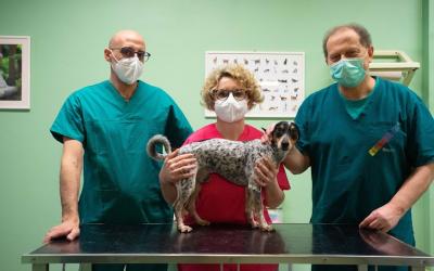 Dott.ssa Livraghi Elisa - Ambulatorio Veterinario