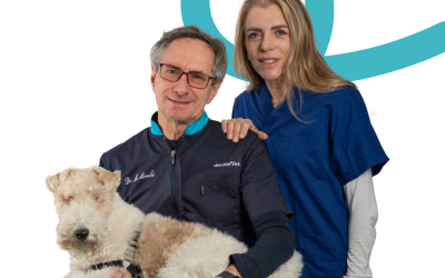 Morelli Maurizio - Clinica Veterinaria