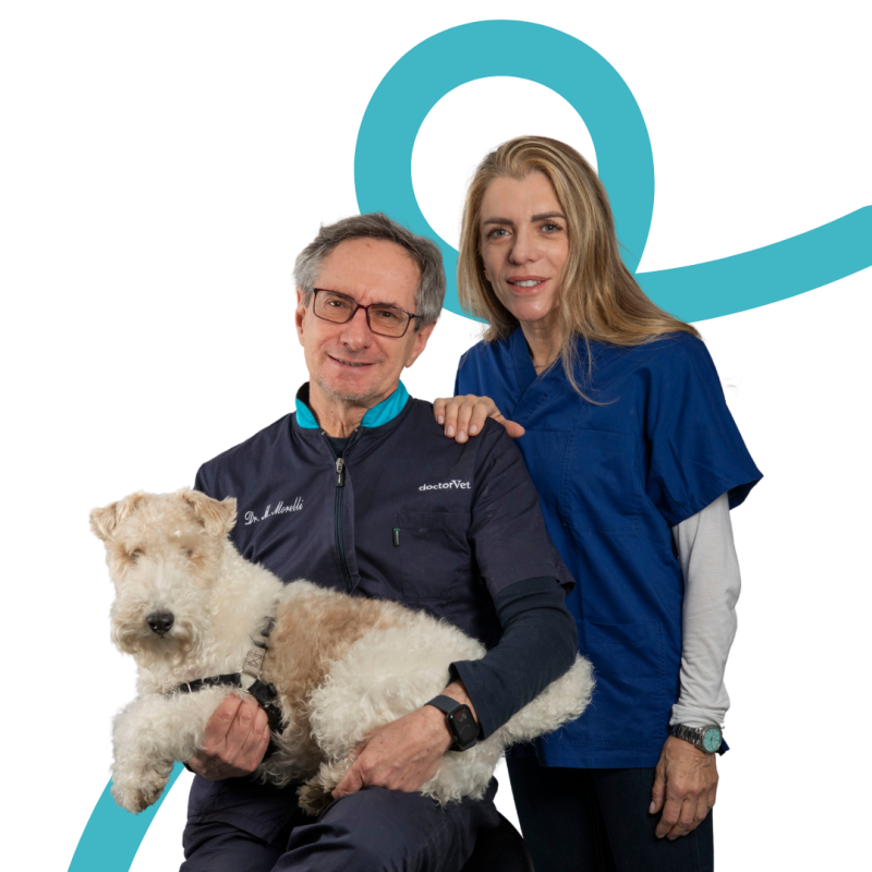 Morelli Maurizio - Clinica Veterinaria